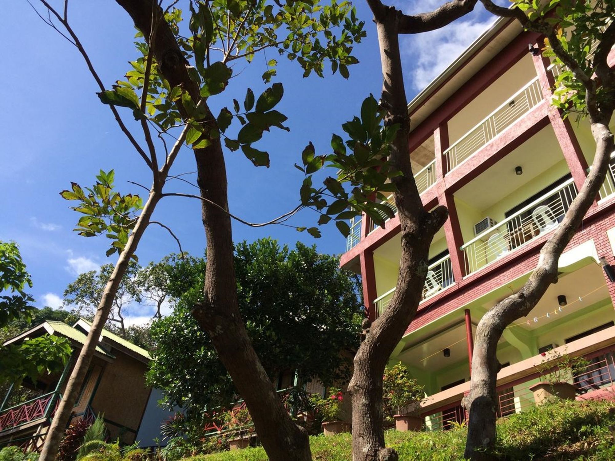 Columbus Inn El Nido Exterior foto
